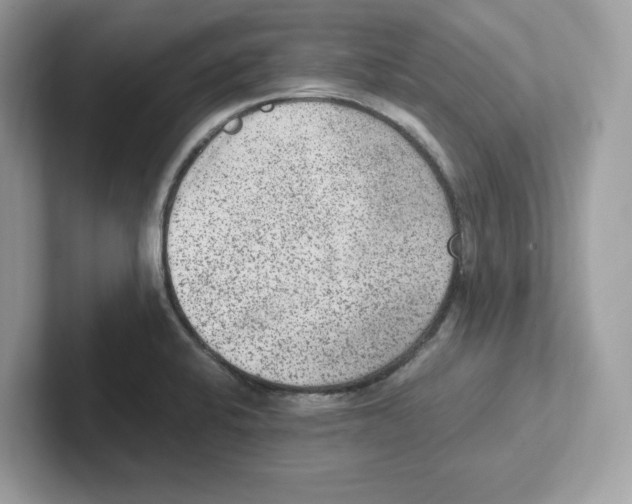 X0000100941424200807221148