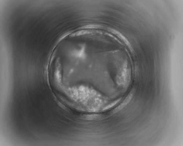 X0000100941425200807221148