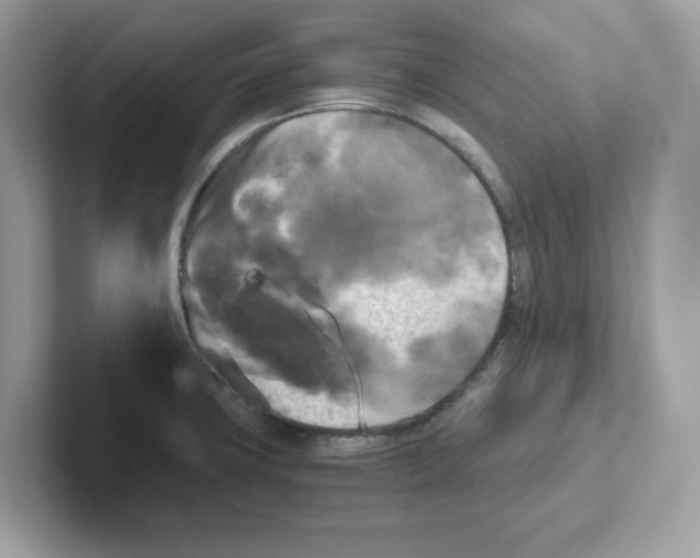 X0000100941427200807221148