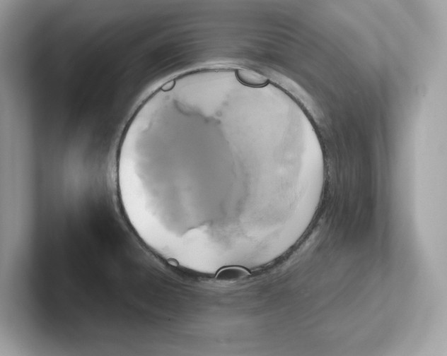 X0000100941428200807221148