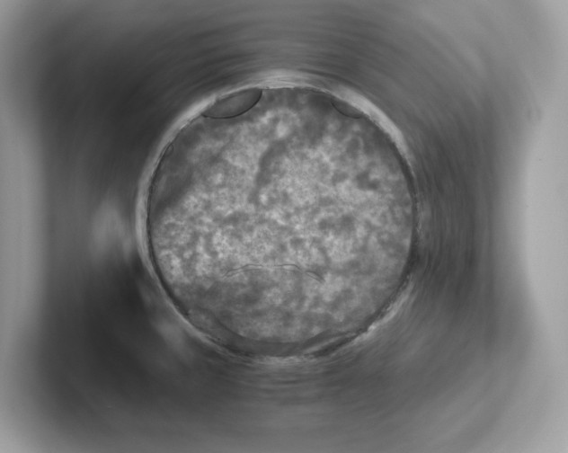 X0000100941429200807221148