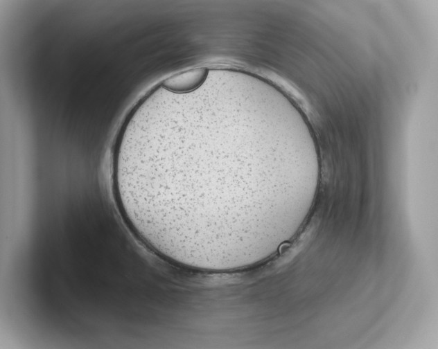 X0000100941430200807221148