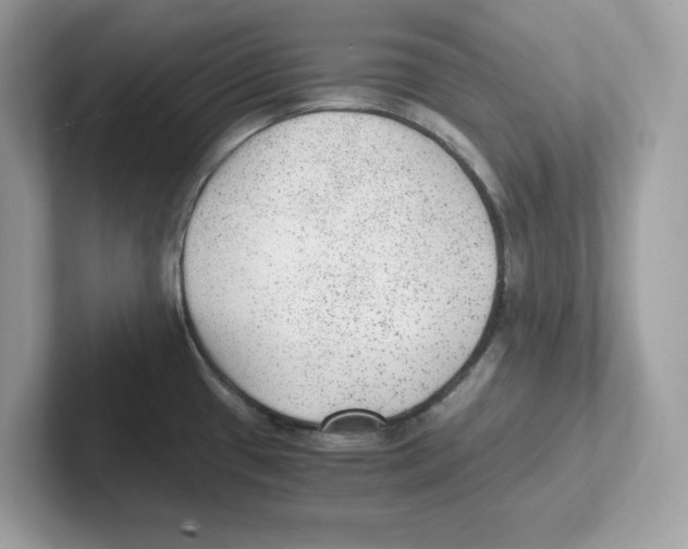 X0000100941433200807221148