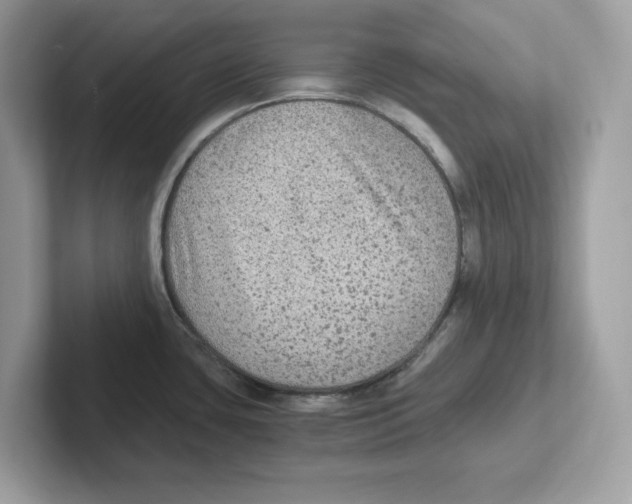 X0000100941435200807221148