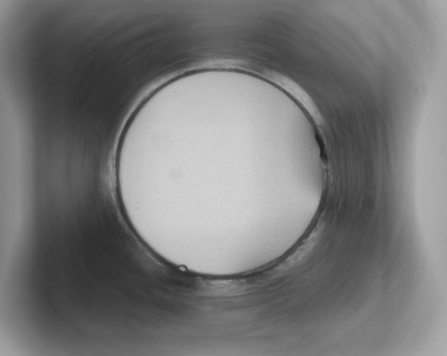 X0000100941436200807221148