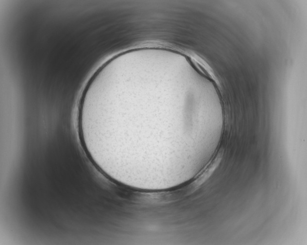 X0000100941438200807221148