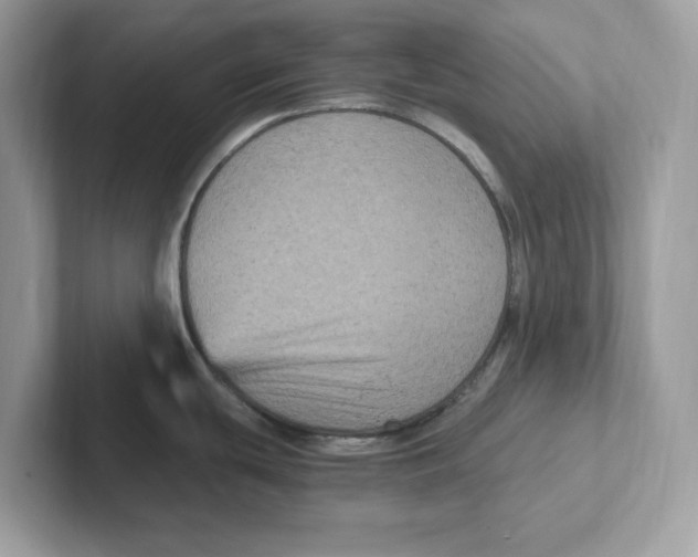 X0000100941439200807221148