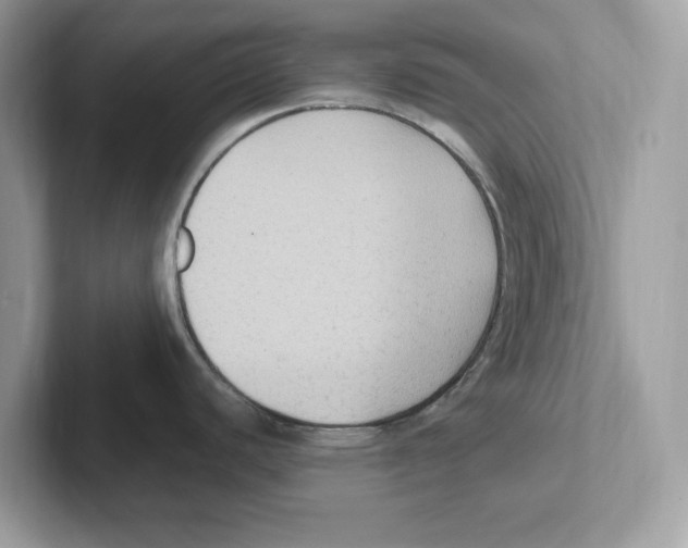 X0000100941440200807221148