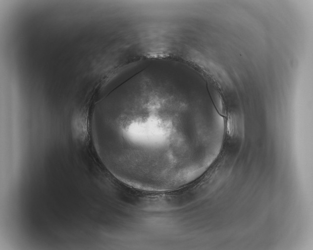 X0000100941444200807221148