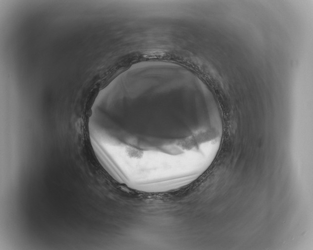 X0000100941445200807221148