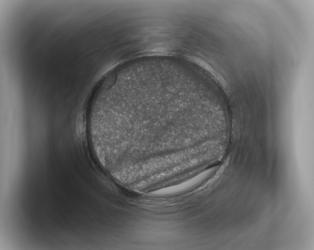 X0000100941450200807221148