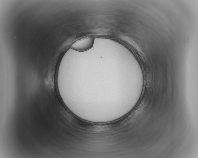 X0000100941451200807221148