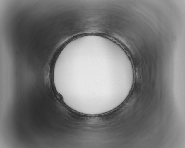 X0000100941452200807221148