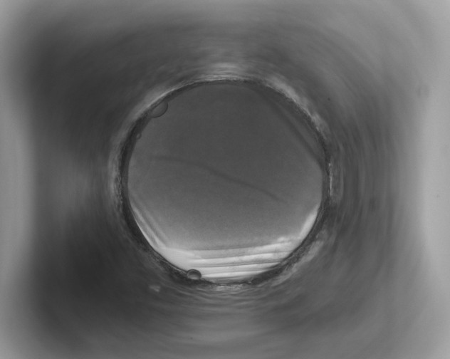 X0000100941453200807221148