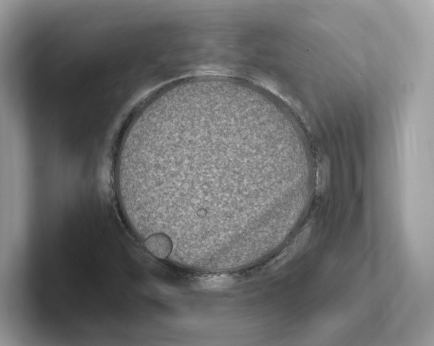 X0000100941454200807221148