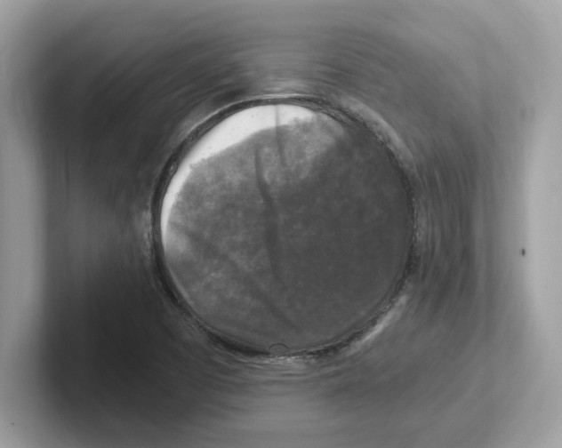 X0000100941457200807221148