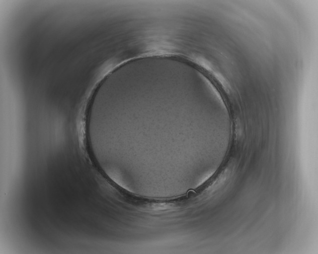 X0000100941459200807221147