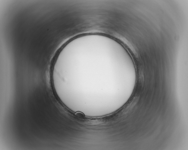 X0000100941460200807221147