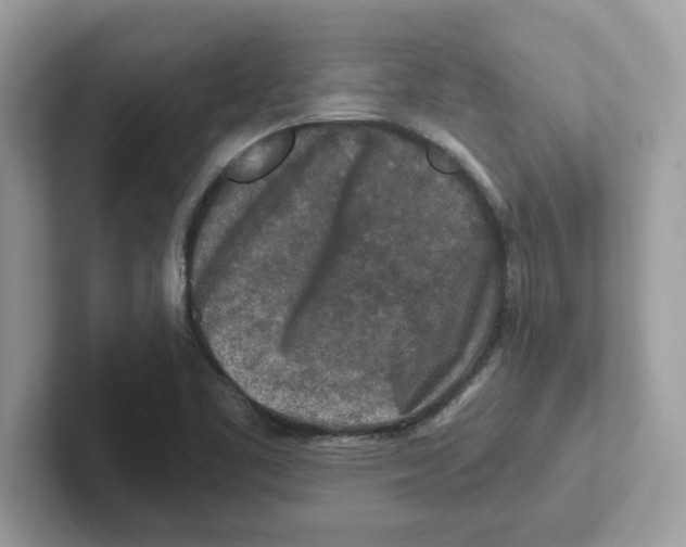 X0000100941461200807221147