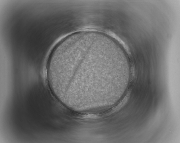 X0000100941462200807221147