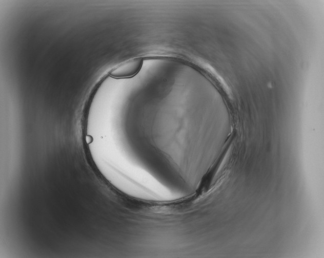 X0000100941463200807221147