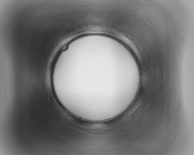 X0000100941464200807221147