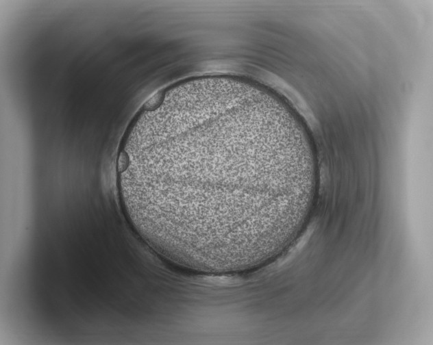 X0000100941465200807221147