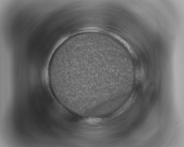 X0000100941466200807221147