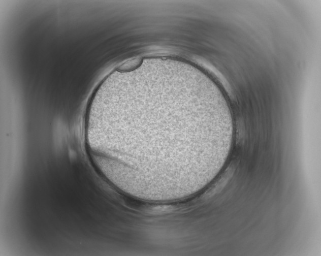 X0000100941467200807221147