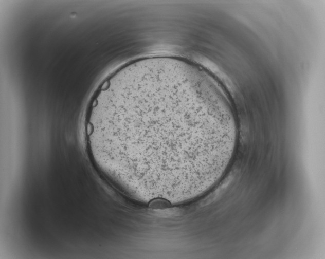 X0000100941469200807221147