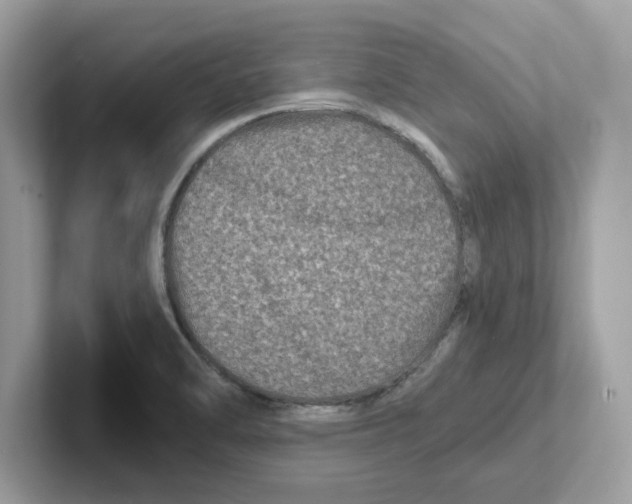 X0000100941470200807221147