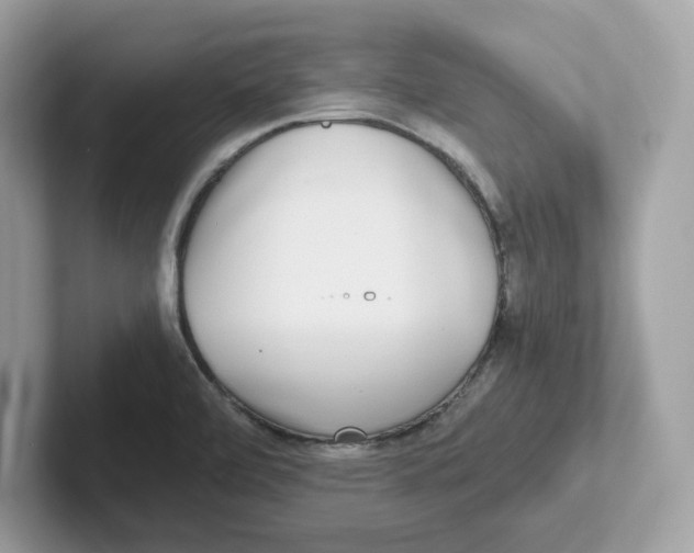 X0000100941472200807221147