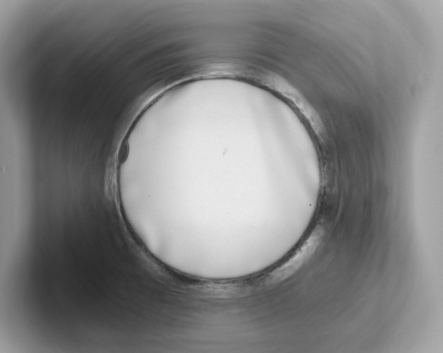 X0000100941473200807221147