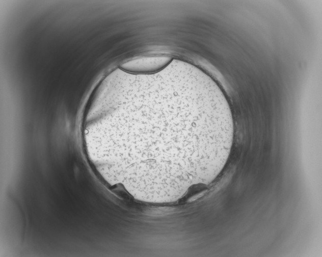 X0000100941475200807221147