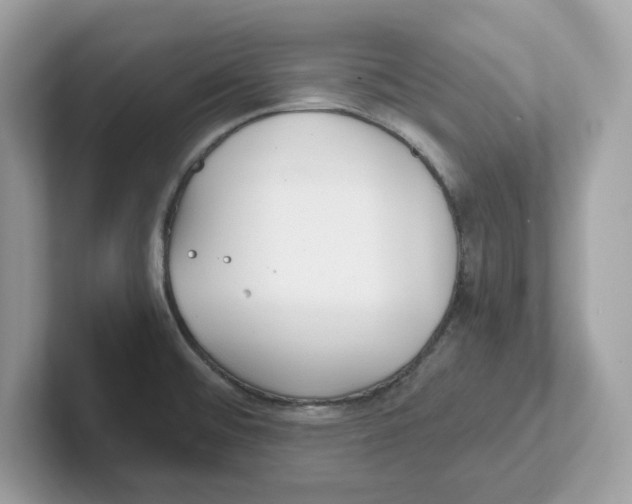 X0000100941476200807221147