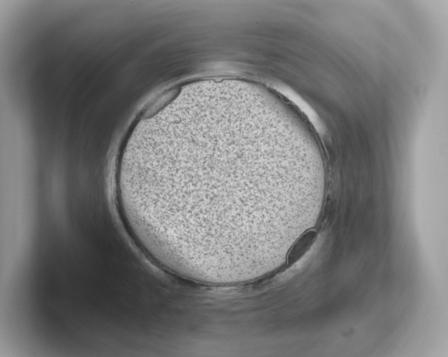 X0000100941477200807221147