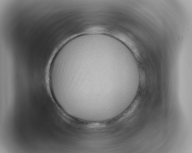 X0000100941478200807221147