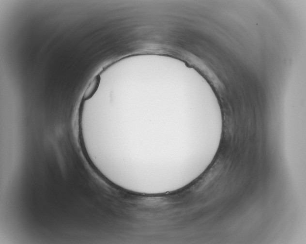 X0000100941479200807221147