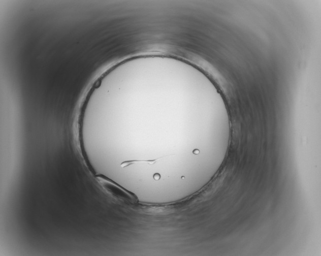 X0000100941480200807221147