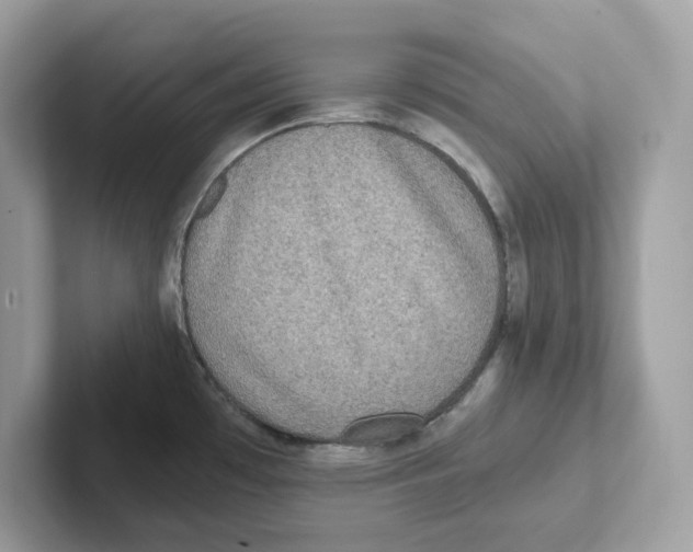 X0000100941481200807221147