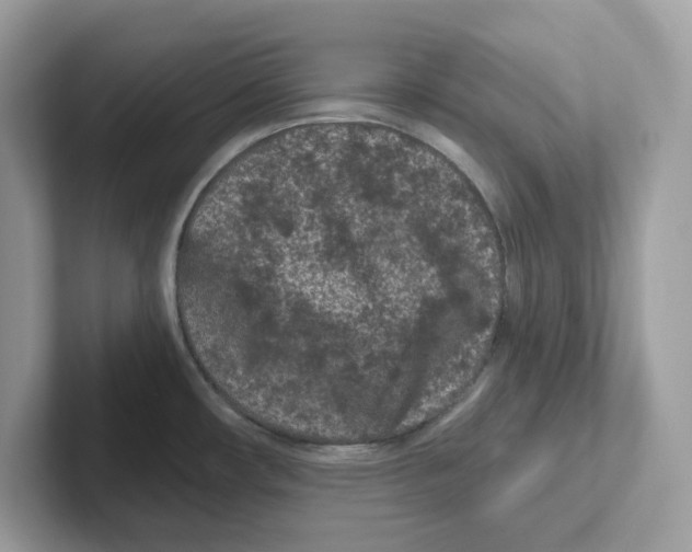 X0000100941482200807221147