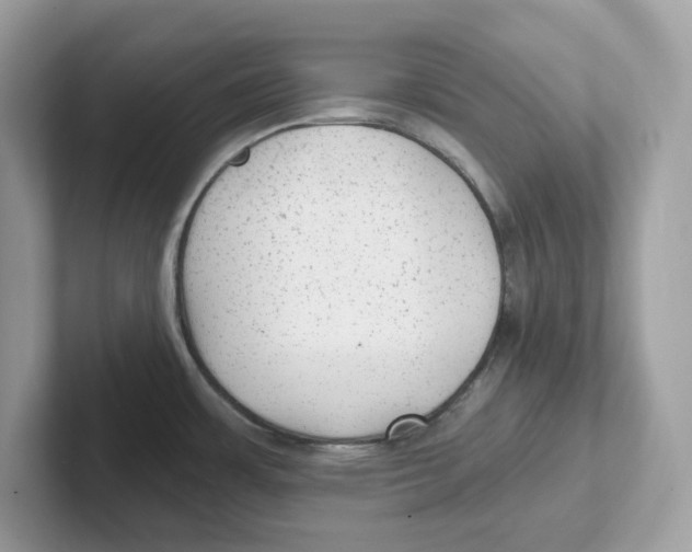 X0000100941483200807221147