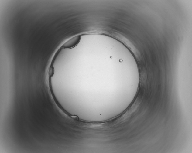 X0000100941484200807221147