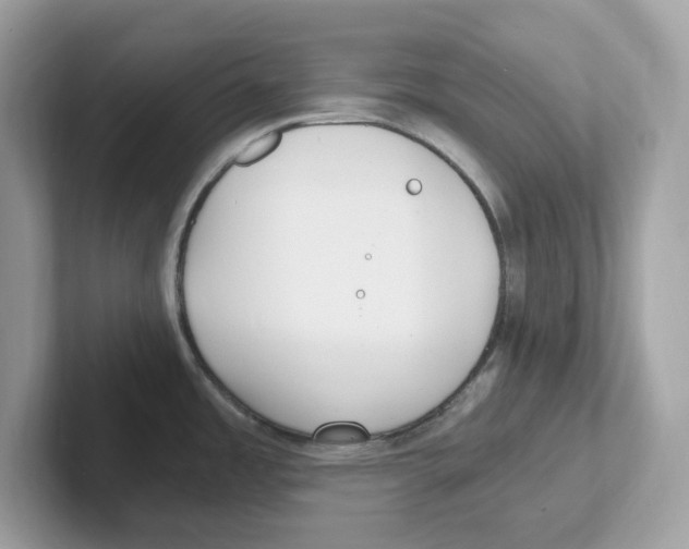 X0000100941485200807221147