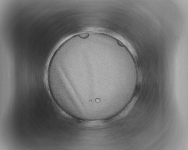 X0000100941486200807221147