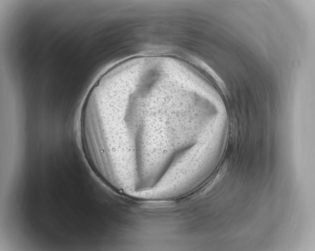 X0000100941487200807221147