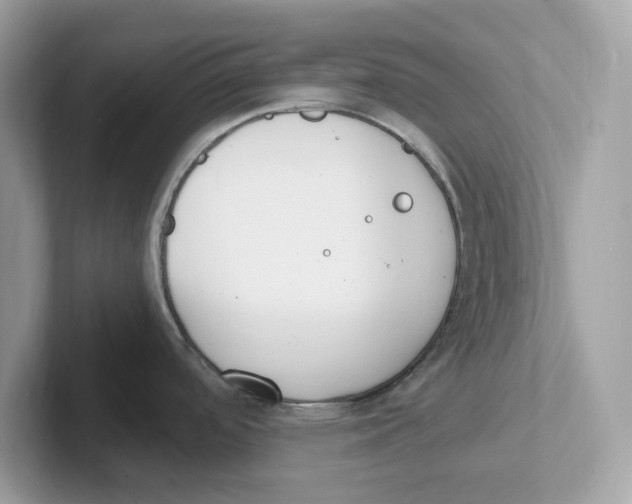 X0000100941488200807221147