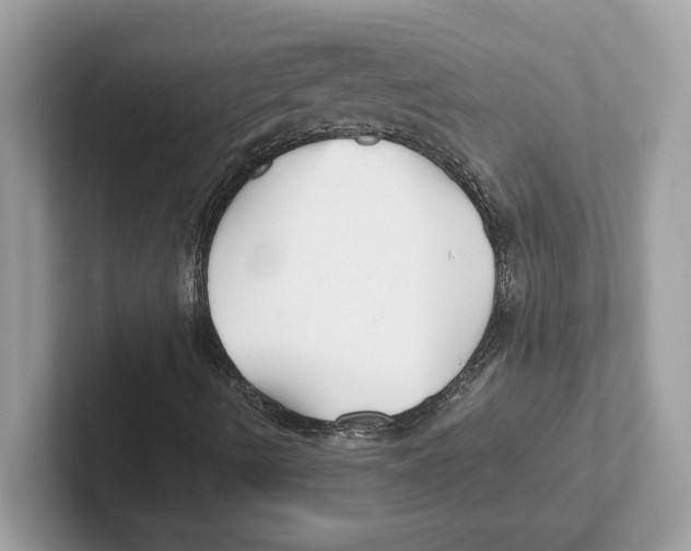 X0000100941490200807221146