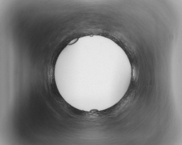 X0000100941492200807221147