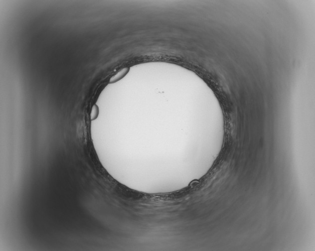 X0000100941493200807221147